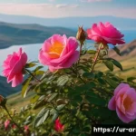아르메니아 주요 식물과 자연 보호구역 - A vibrant close-up scene of Armenia’s rare wild roses blooming in a mountainous national park settin...